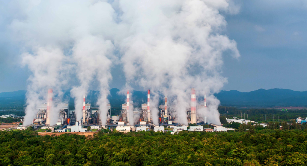 Opinión REDD+ucida: ¿alguien quiere pensar en los polígonos?