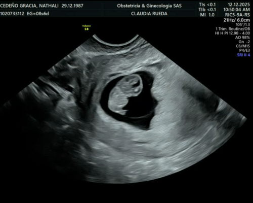 Captura de Pantalla 2025-12-19 a la(s) 11.22.23 a.m.